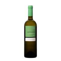 EMPHASIS ASSYRTIKO