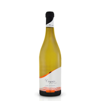 VIOGNIER ΚΙΝΤΩΝΗ